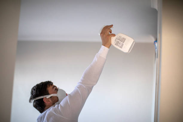 Best Toxic Mold Removal  in Sandstone, MN